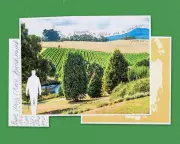 Mount Arthur's Quiet Truth: Nature as Reality, Not Escape