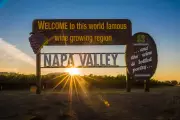 Napa Valley Wineries Navigate 'Shocking' Downturn with Innovation and Adaptation
