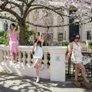 Notting Hill Street Plagued by Influencers for Cherry Blossom Photos