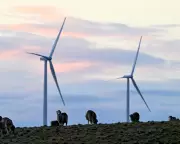 Power Prices to Drop Up to 10% on Australia's East Coast from July