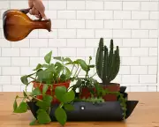 Repotting Mats: A Game-Changer for Indoor Plant Care or Unnecessary Expense?