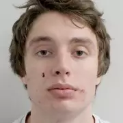 Russian National Jailed for Assault Witnessed by Barron Trump on Video Call