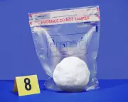 Snowball Fight Sparks Major Clash Between NYC Mayor Mamdani and NYPD Leadership