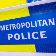 South London Man with Axes Tasered as Cane Corso Dog Attacks Police Officers