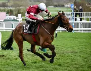 Stellar Story Emerges as Value Pick for 2026 Grand National at Aintree