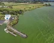 Superbug Genes Found in UK's Largest Lake, Threatening Drinking Water