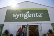 Syngenta to Cease Production of Paraquat Weed Killer Linked to Parkinson's Disease