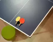 Table Tennis Emerges as a Promising Therapy for Parkinson's Disease Management