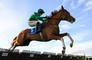 Talk The Talk Poised to Triumph in Cheltenham's Supreme Novices' Hurdle