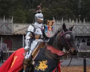 The Curious History of Left-Hand Driving: From Sword Fighting to Shield Wielding