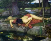 The Rise of Looksmaxxing: How Insecure Young Men Are Redefining Beauty Standards