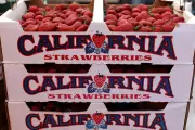 Toxic PFAS Found on 37% of California Produce, New Analysis Reveals