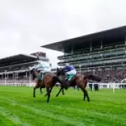 Tragedy at Cheltenham Festival as Horse Dies in Second Race