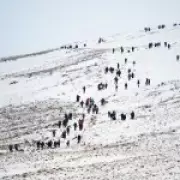 UK Braces for Arctic Blast: Snow and Freezing Temperatures Forecast