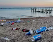 UK Councils' Littering Fine Failures Exposed: Over 70 Issued Zero Penalties