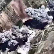 UK Food Prices Set to Surge Within Weeks Due to Iran Conflict, Warns NFU