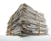 UK Newsrooms Face 'Apartheid' as Black Journalists Remain Marginalized Despite Diversity Promises