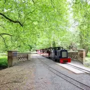 UK's First Electric Steam Train to Launch Near London in Historic Essex Town