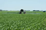US Farmers Face Crisis as Iran War Drives Fertilizer Costs to Unsustainable Levels