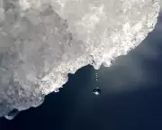 Warmer World, More Rain: How Climate Change Is Transforming Antarctica