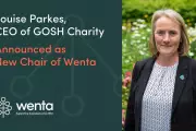 Wenta Appoints Former GOSH Charity Chief Louise Parkes as New Chair