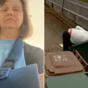 Woman Fractures Shoulder After Tumbling Into Recycling Bin During Cleaning