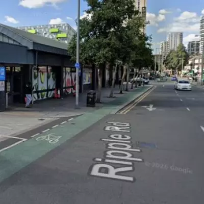 Barking Pedestrian Suffers Life-Changing Injuries in Two-Car Collision