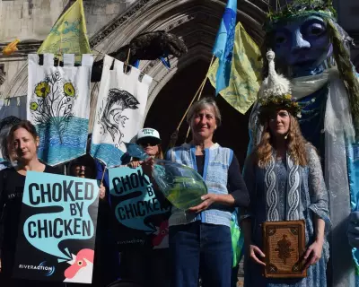 Chicken Producer Challenges River Pollution Lawsuit in London Court