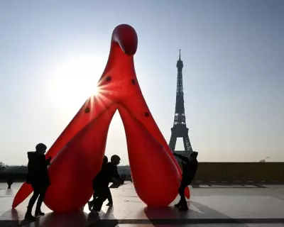 Clitoris Finally Mapped: Historic 3D Nerve Scan Ends Centuries of Neglect