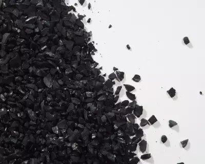 Does Activated Charcoal Help Houseplants? The Verdict