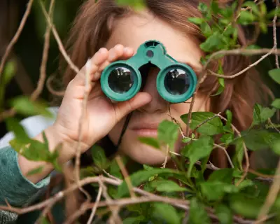 From Pokémon to Birdwatching: How a Generation Found New Joy in Nature