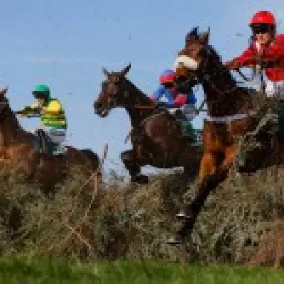 Grand National 2026 Sweepstake Kit: Free Printable Download for Race Day Fun