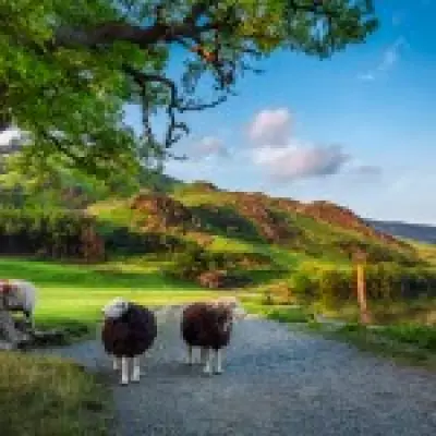 Grasmere Crowned UK's Top Staycation Spot for Summer 2026 by TripAdvisor