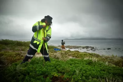 Indigenous Groups in Australia and Alaska Track Short-Tailed Shearwater Migration