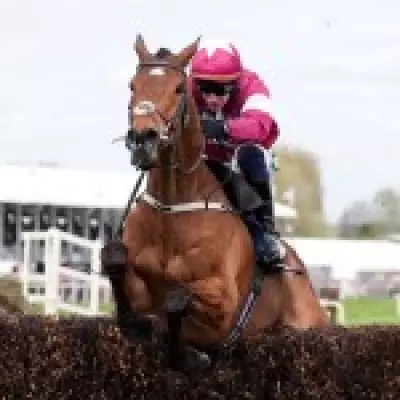 Jockey Explains Why Gold Dancer Was Not Pulled Up After Fatal Injury