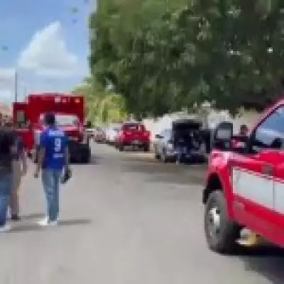 Killer Bee Swarm Injures 150 at Easter Procession in Panama