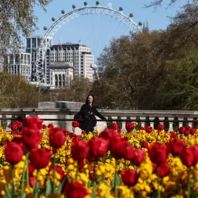 London Braces for Weather Whiplash: 25C Highs to Sudden Cool-Down This Week