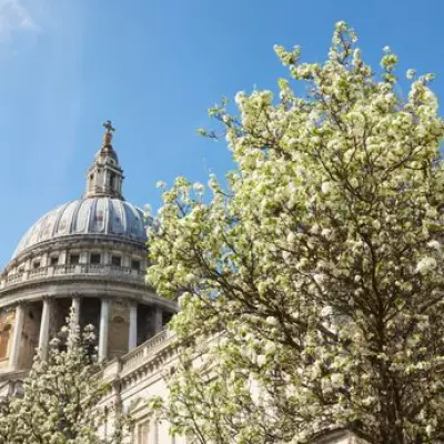 London to Experience 20C Heatwave in Early May According to BBC Forecast
