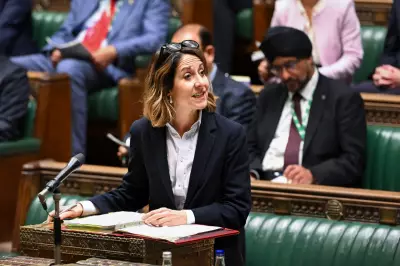 Netcompany CEO: Europe must build own AI to avoid US-China data control