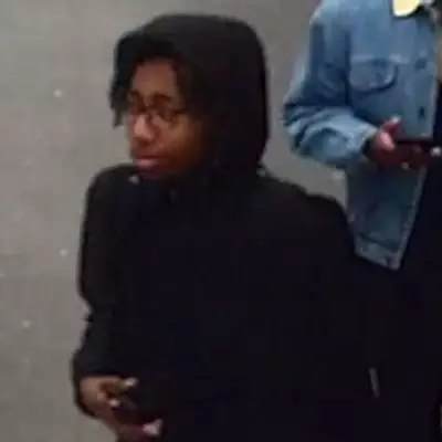 Police Appeal After Man Exposes Himself on Afternoon Train in South London