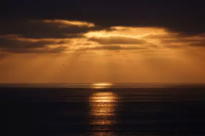 Record Ocean Temperatures Off Southern California Spark Fears of Prolonged Marine Heatwave