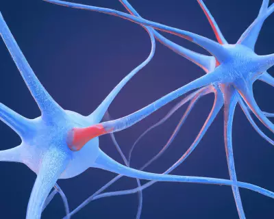 Scientists Map Unique Brain 'Fingerprint' of Psychedelic Drugs