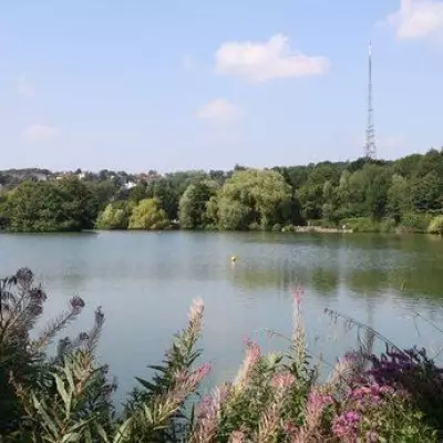 South Norwood Lake Walk: A Countryside Escape in Croydon