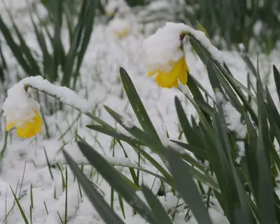 Storm Dave Threatens UK with 90mph Winds and Snow Over Easter Weekend