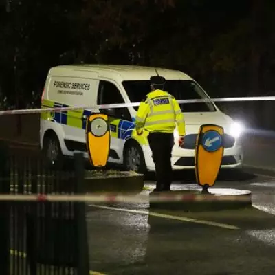 Student Fatally Stabbed at Primrose Hill While Friend Bravely Intervenes