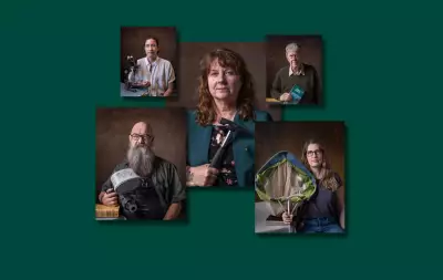 Swedish Scientists Continue Linnaeus's Legacy in Modern Taxonomy Research