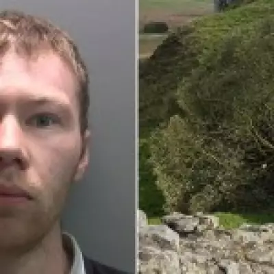 Sycamore Gap Tree Vandal Released After 10 Months of Four-Year Sentence