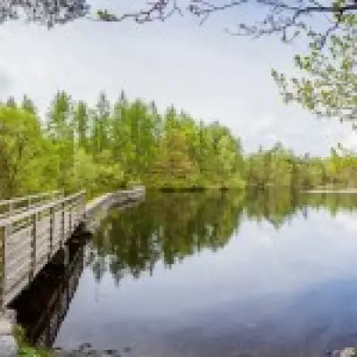 Teenager Found Dead After Swimming Incident at Lake District Beauty Spot