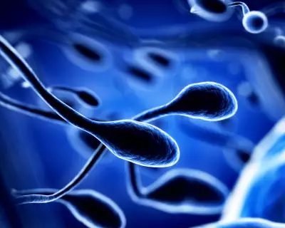 Toxins and Climate Change Synergistically Harm Fertility Across Species, Study Finds