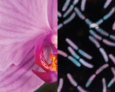 Wellness Culture Sells Vaginal Products You Don't Need